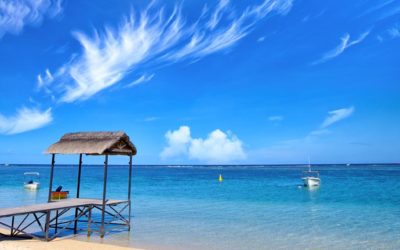 Top 5 Airlines For Flights From South Africa To Mauritius
