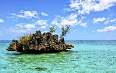 10 Best Things To Do In Mauritius