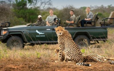 Top 5 Game Reserves In Cape Town