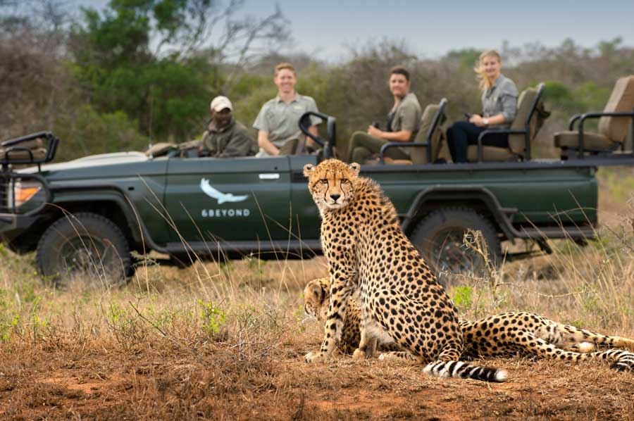 kruger national park